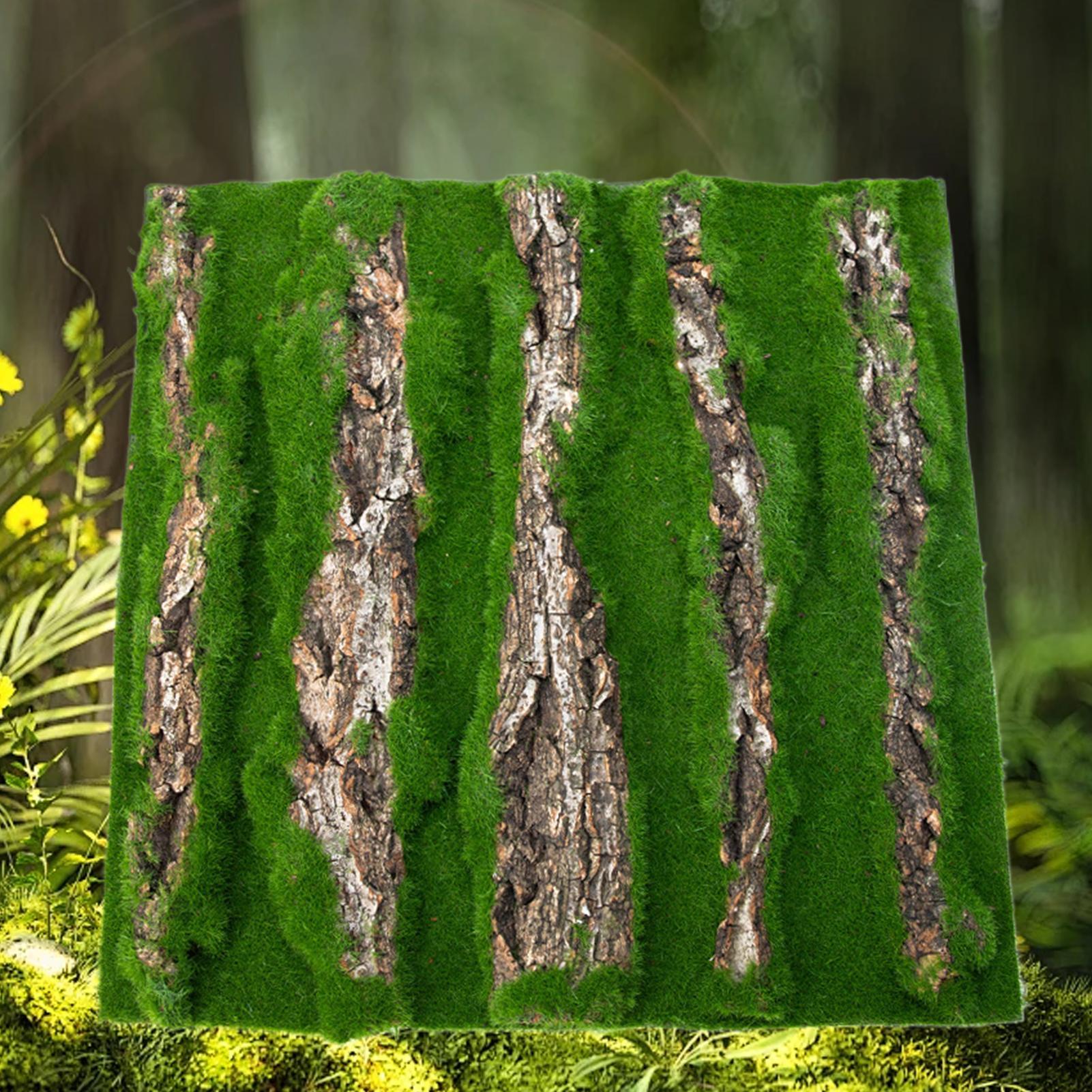 Reptile Terrarium Background D - огляд і ціна Terrarium Moss Art