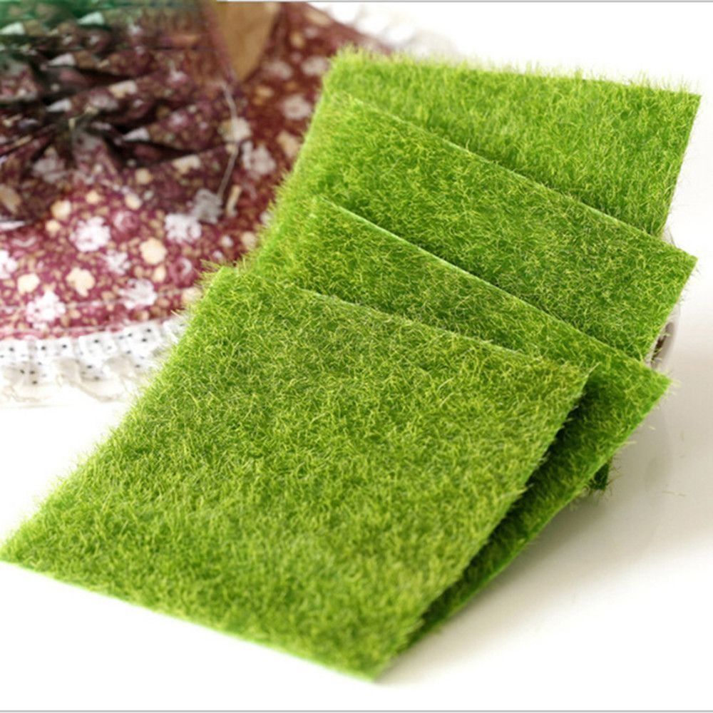 Ecological Lawn Decor Garden O - огляд і ціна Terrarium Moss Art
