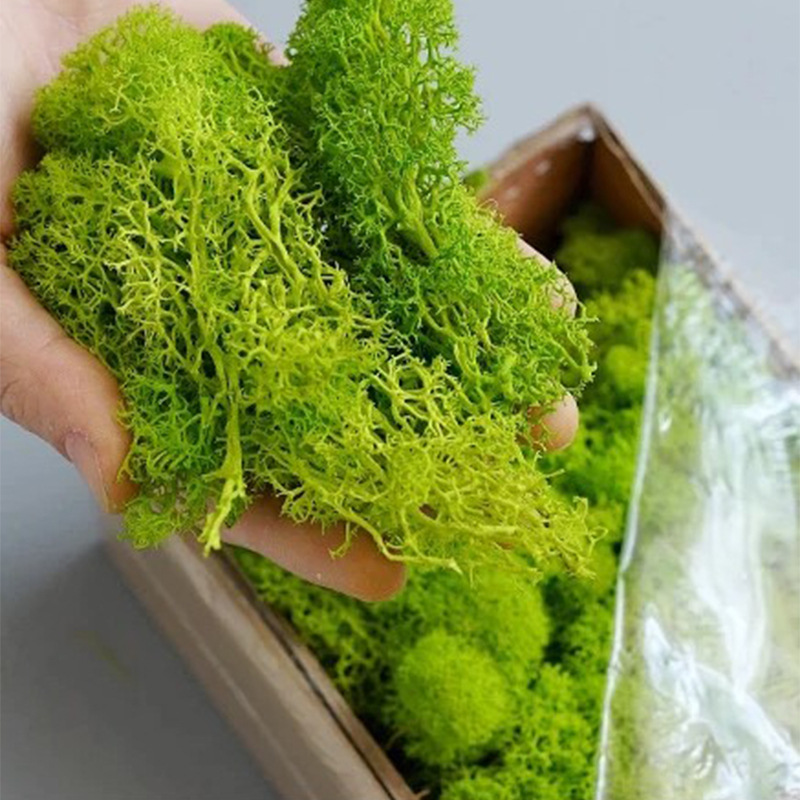 20g Artificial Green Moss Plan - огляд і ціна Terrarium Moss Art