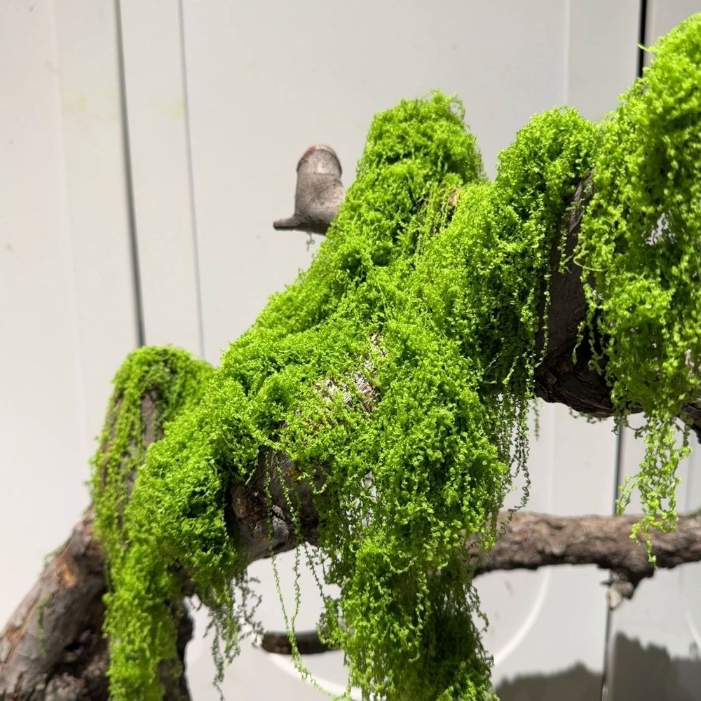 Polyester Artificial Moss Plan - огляд і ціна Terrarium Moss Art