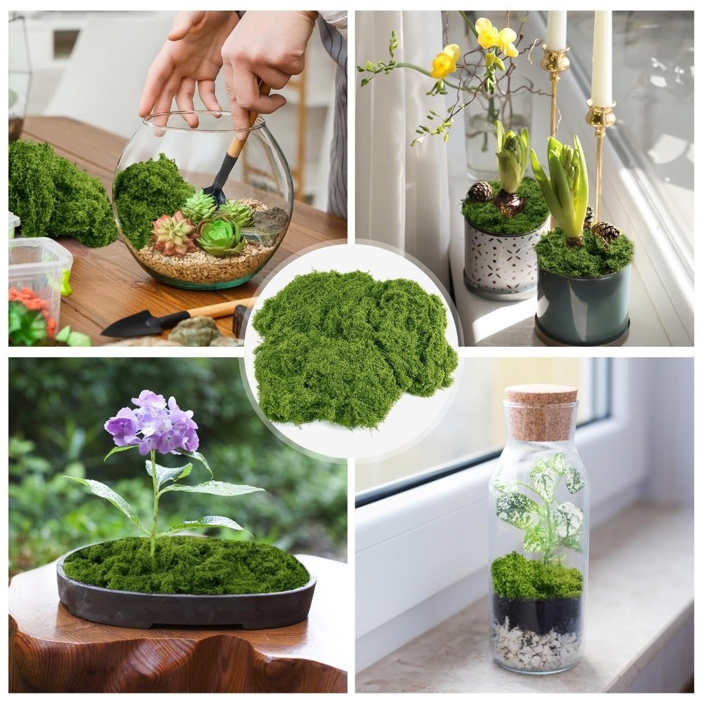 Polyester Artificial Moss Plan - огляд і ціна Terrarium Moss Art