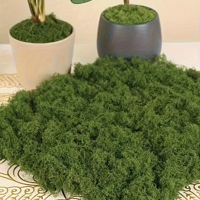 50g Green Fake Moss DIY Crafts - огляд і ціна Terrarium Moss Art