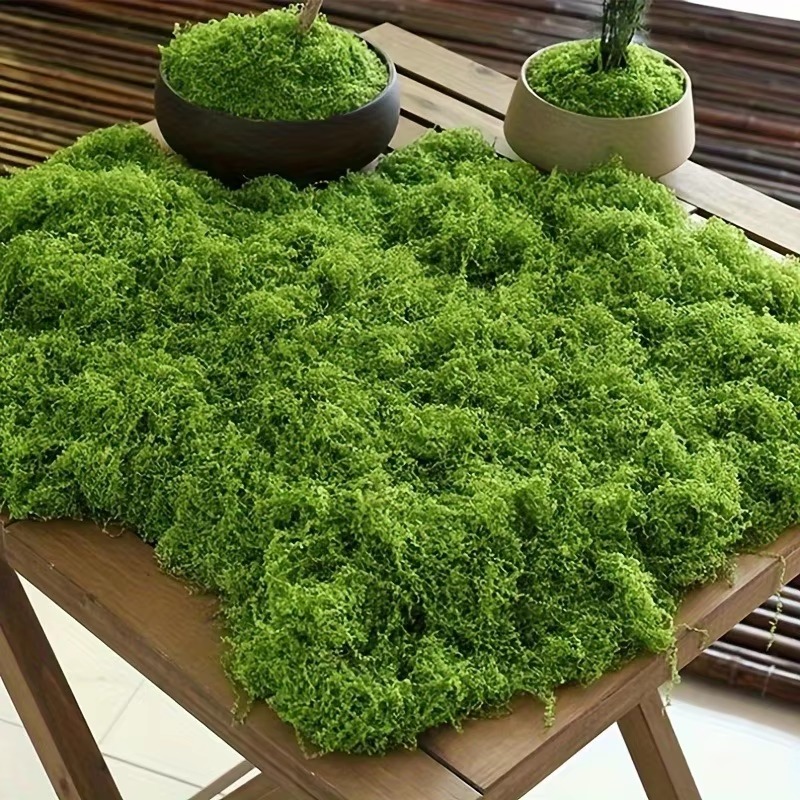 50g Green Fake Moss DIY Crafts - огляд і ціна Terrarium Moss Art