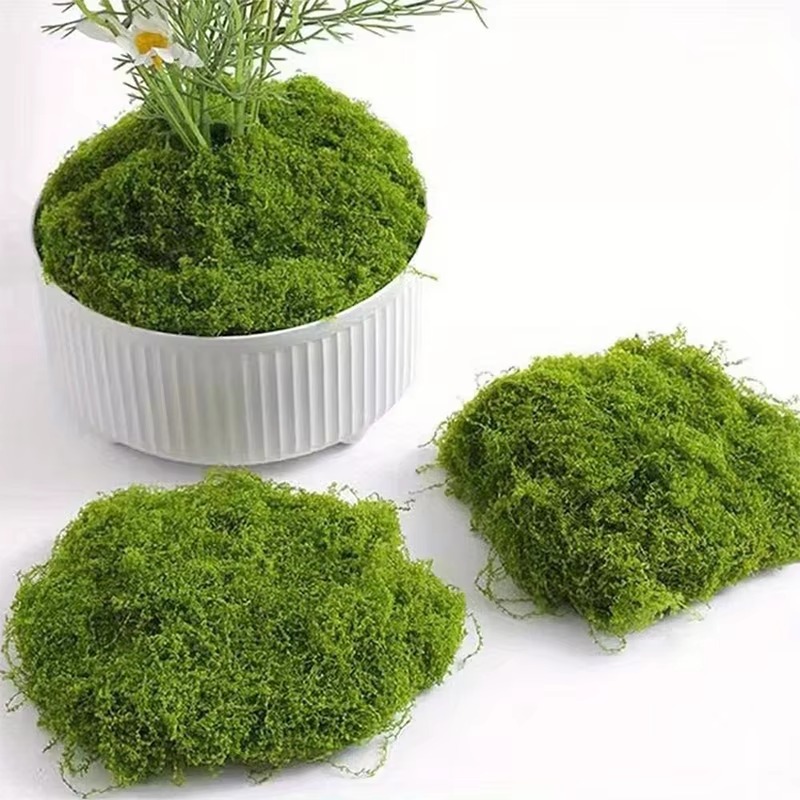 50g Green Fake Moss DIY Crafts - огляд і ціна Terrarium Moss Art